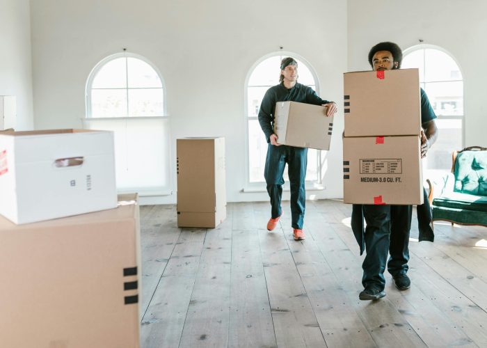 Two movers carrying boxes in a sunlit room, ready to assist with relocation.